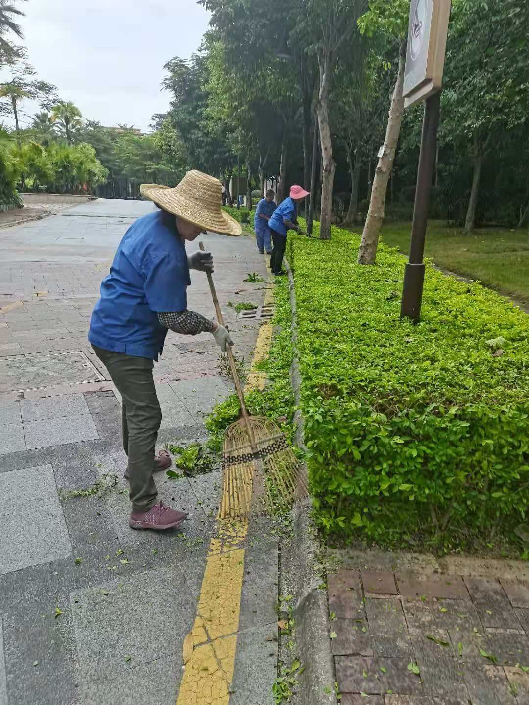 小區綠化養護清理落葉