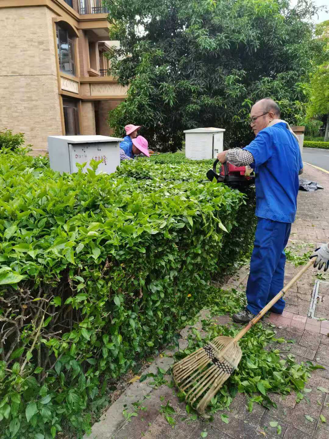 小區綠化養護修剪