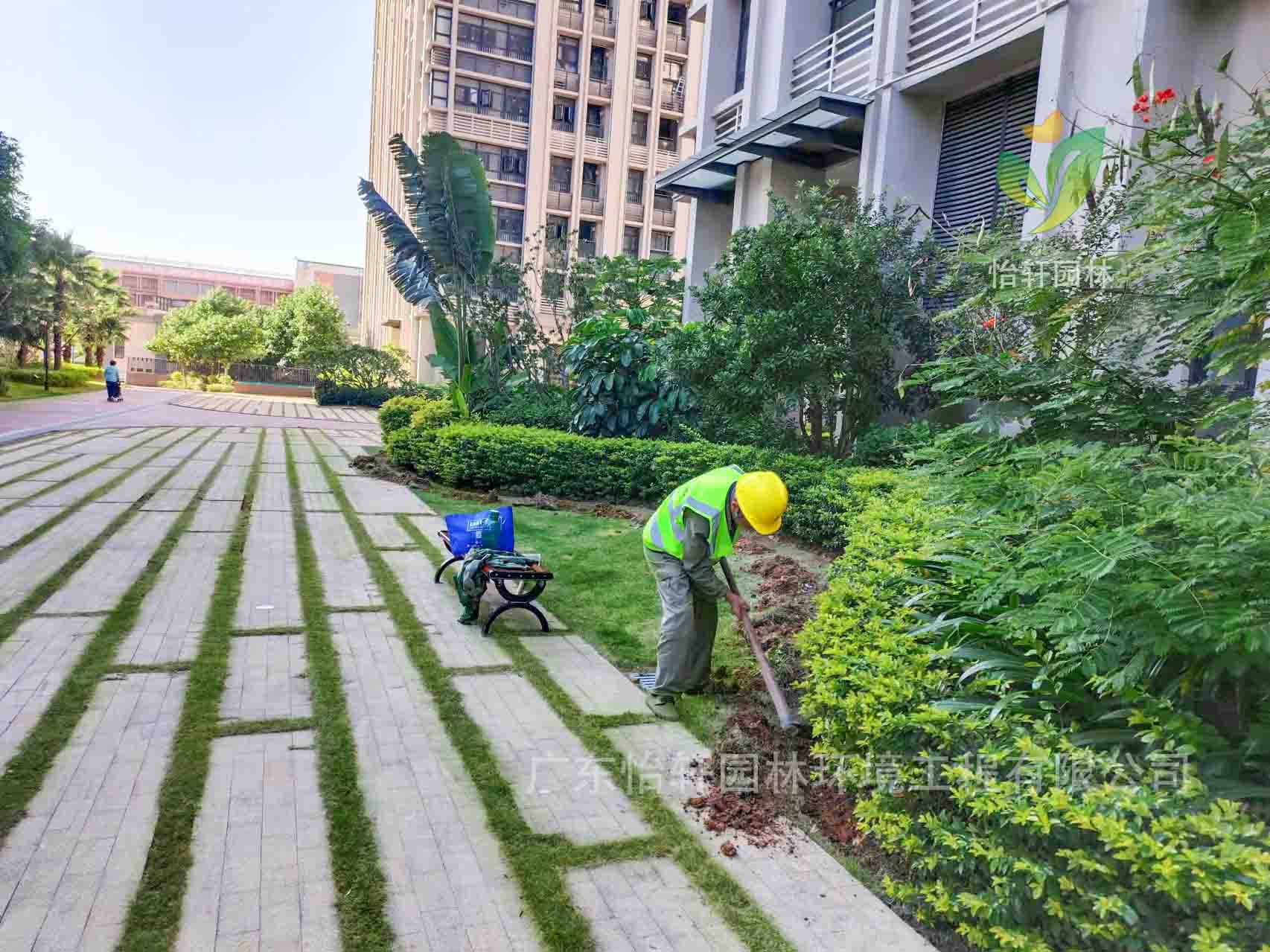 園林綠化公司,綠化養護,綠化公司 園林綠化公司,綠化養護,綠化公司