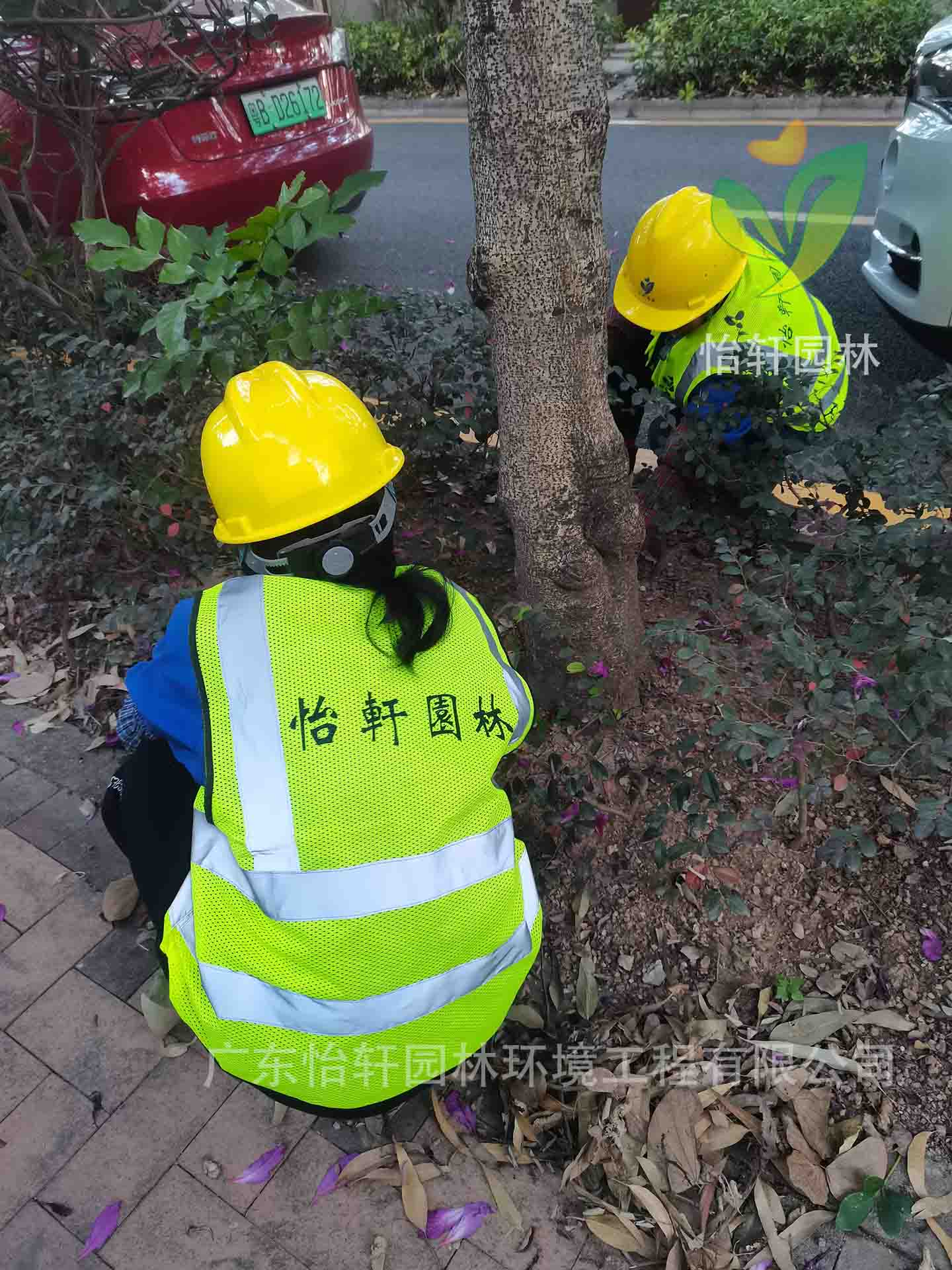 綠化養護